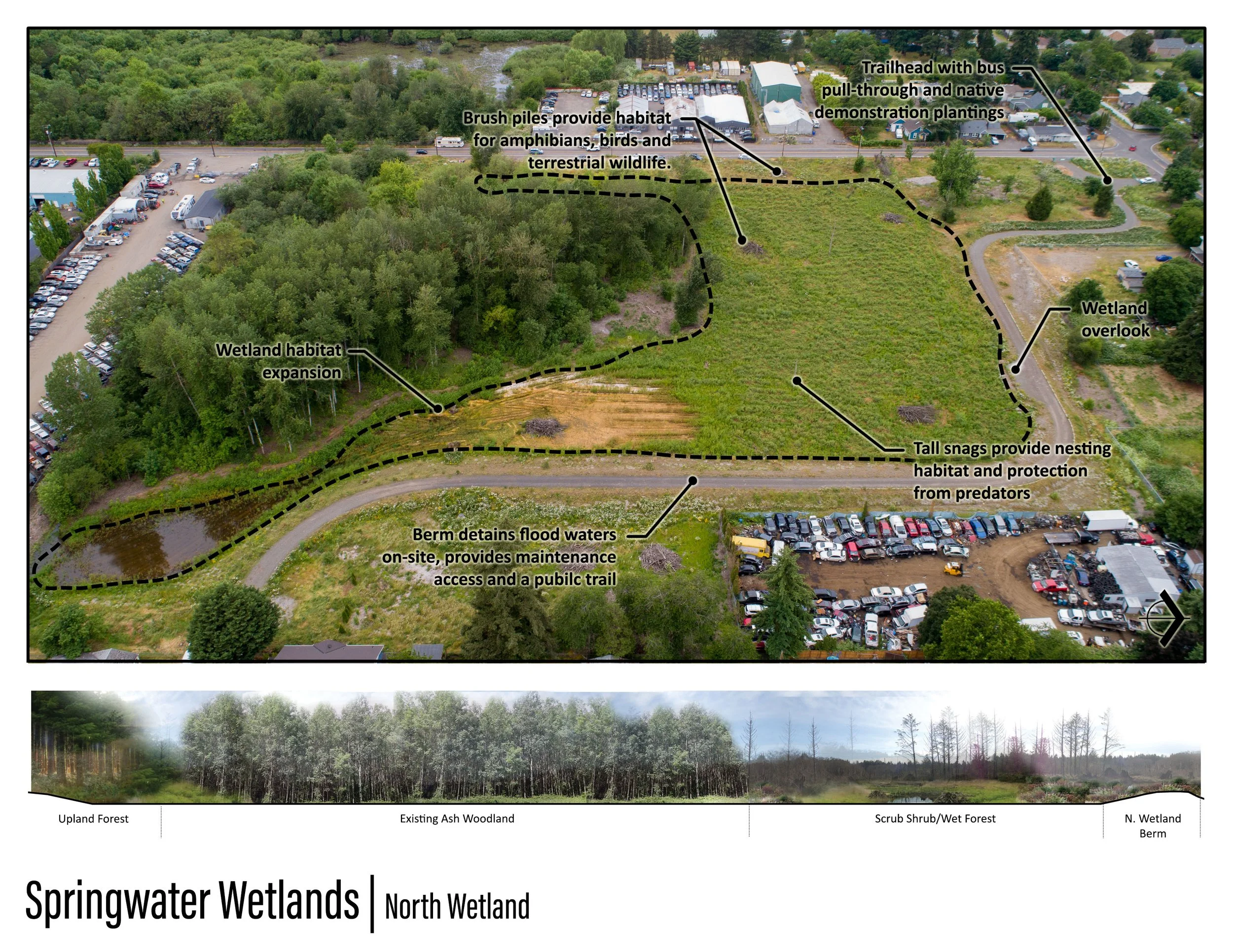 Springwater Wetlands_Image_3 - Jeremy Person.jpg