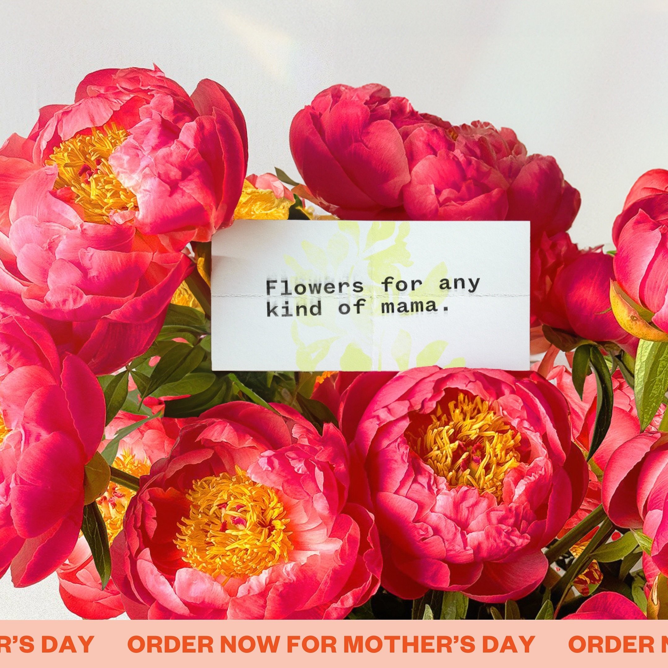Your mama might be your Gigi, your next-door neighbor, your Mama Bear, your auntie, your gay dad, or even your BFF. At Ergo, we believe Mother&rsquo;s Day flowers are for any kind of mama figure in your life.

📆 Place your orders now for pickup or d
