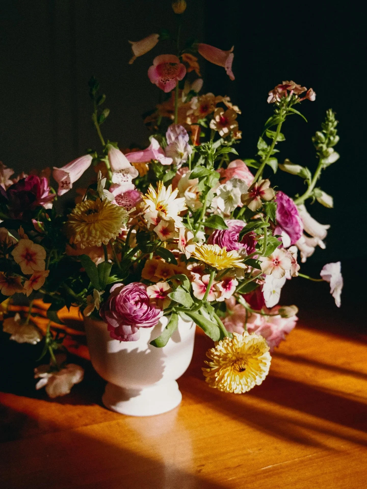 Holding onto summer light.