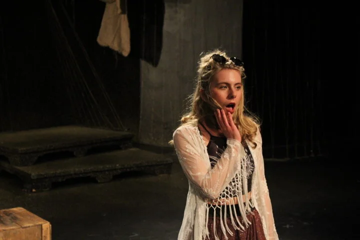  As You Like It    Dir. Leila Ghaemi  
