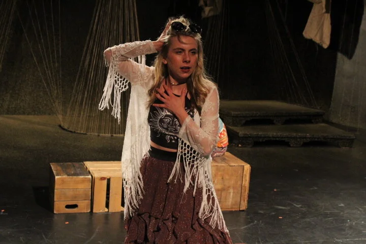   As You Like It    Dir. Leila Ghaemi  