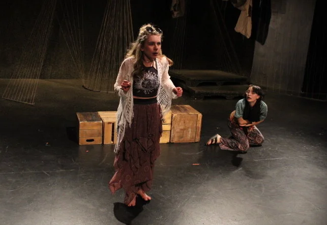   As You Like It    Dir. Leila Ghaemi  