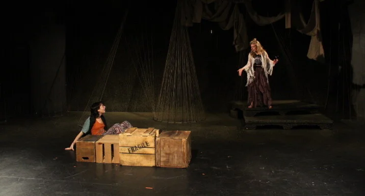   As You Like It    Dir. Leila Ghaemi  