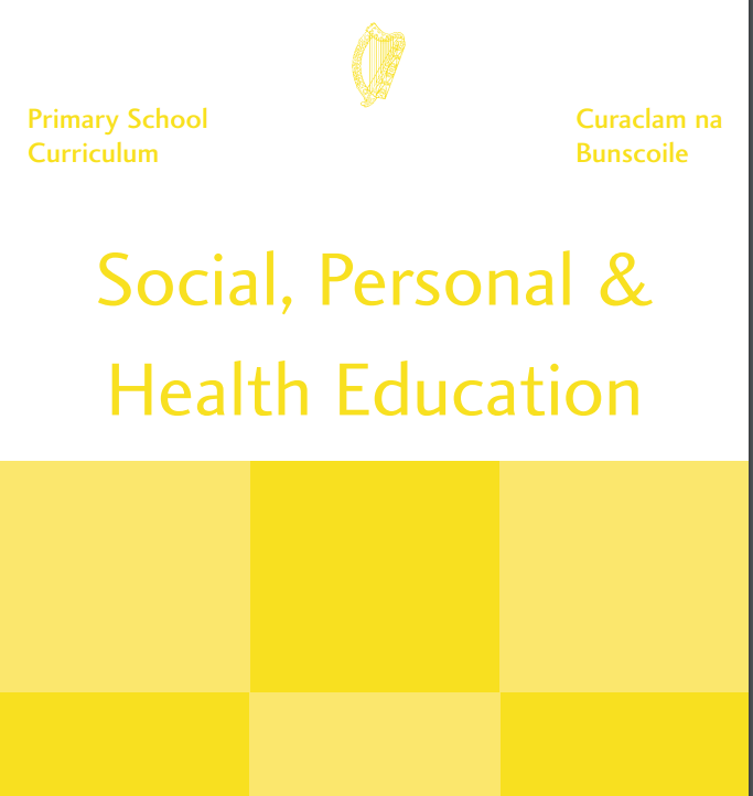 Relationships and Sexuality education (RSE) programme content
