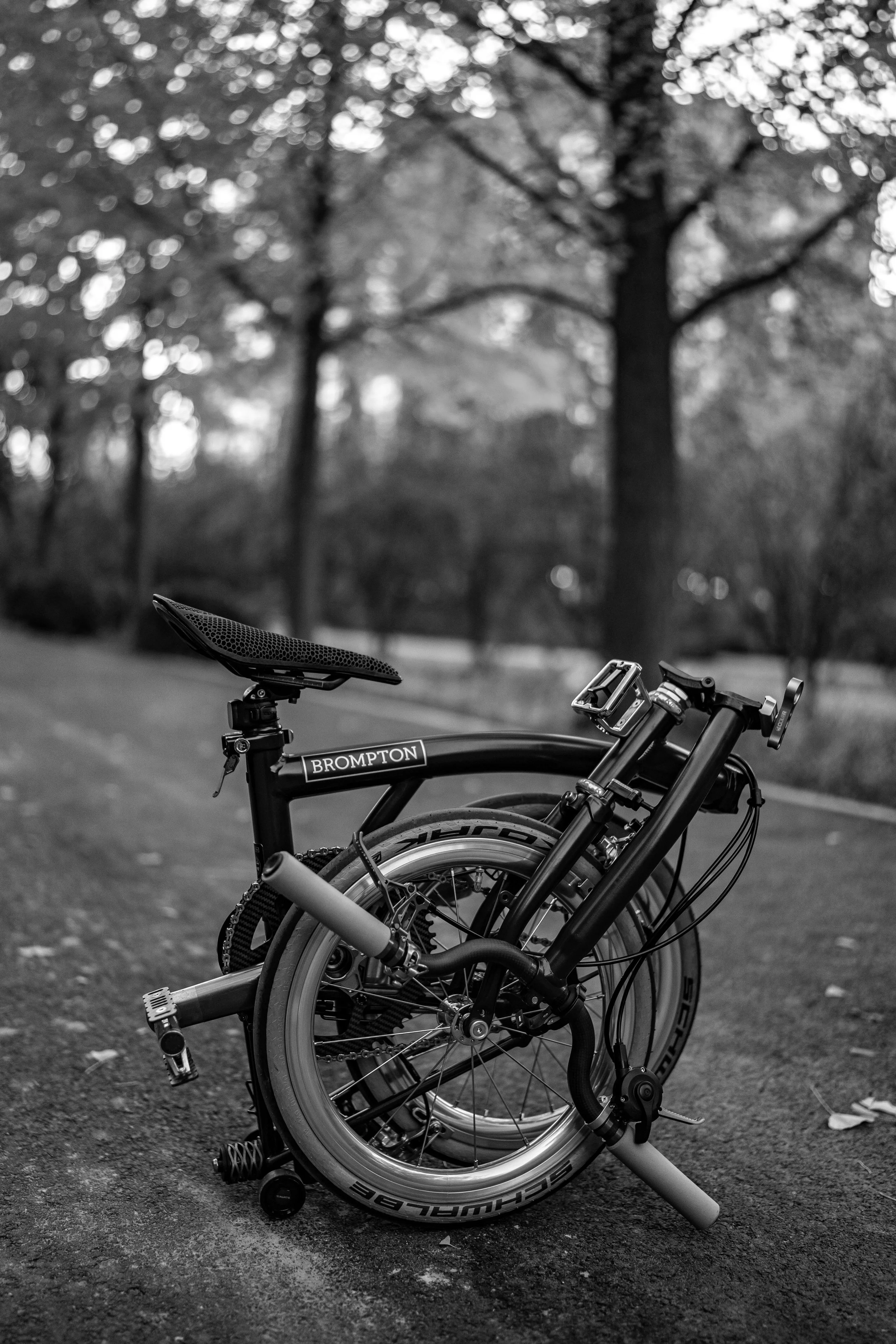 A folded black Brompton bicycle resting on the ground on a dirt pathway in a park with trees in the background, grayscale image.