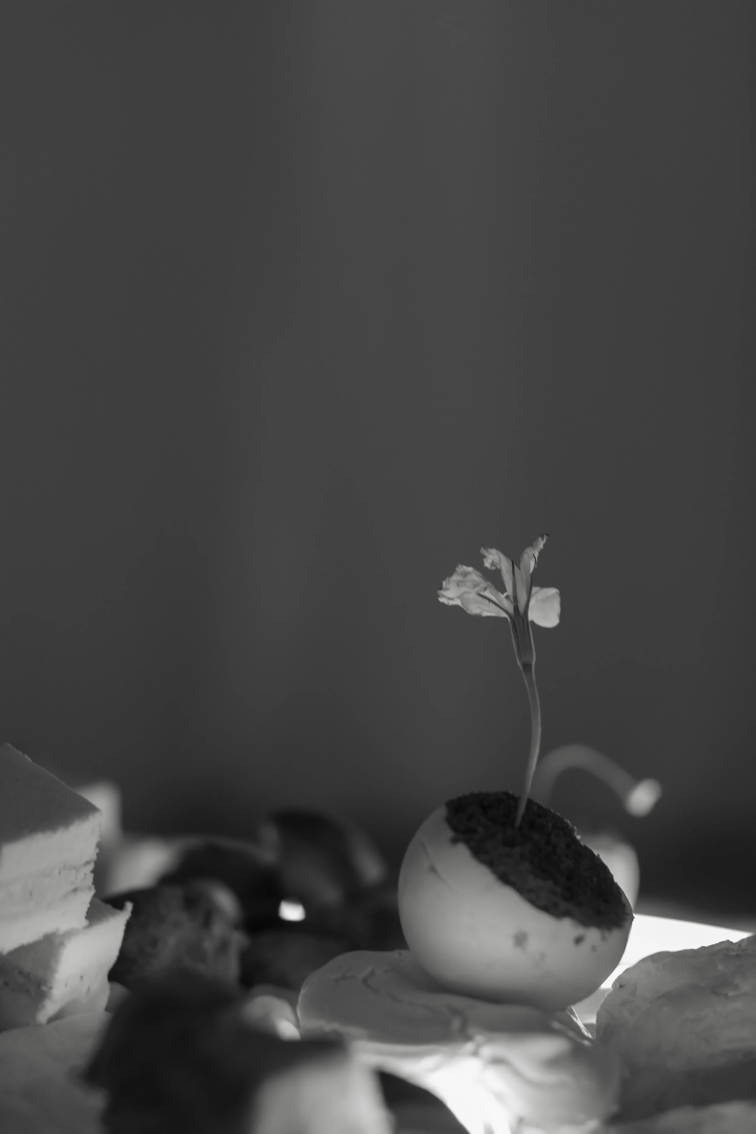 MTW-0691.jpg