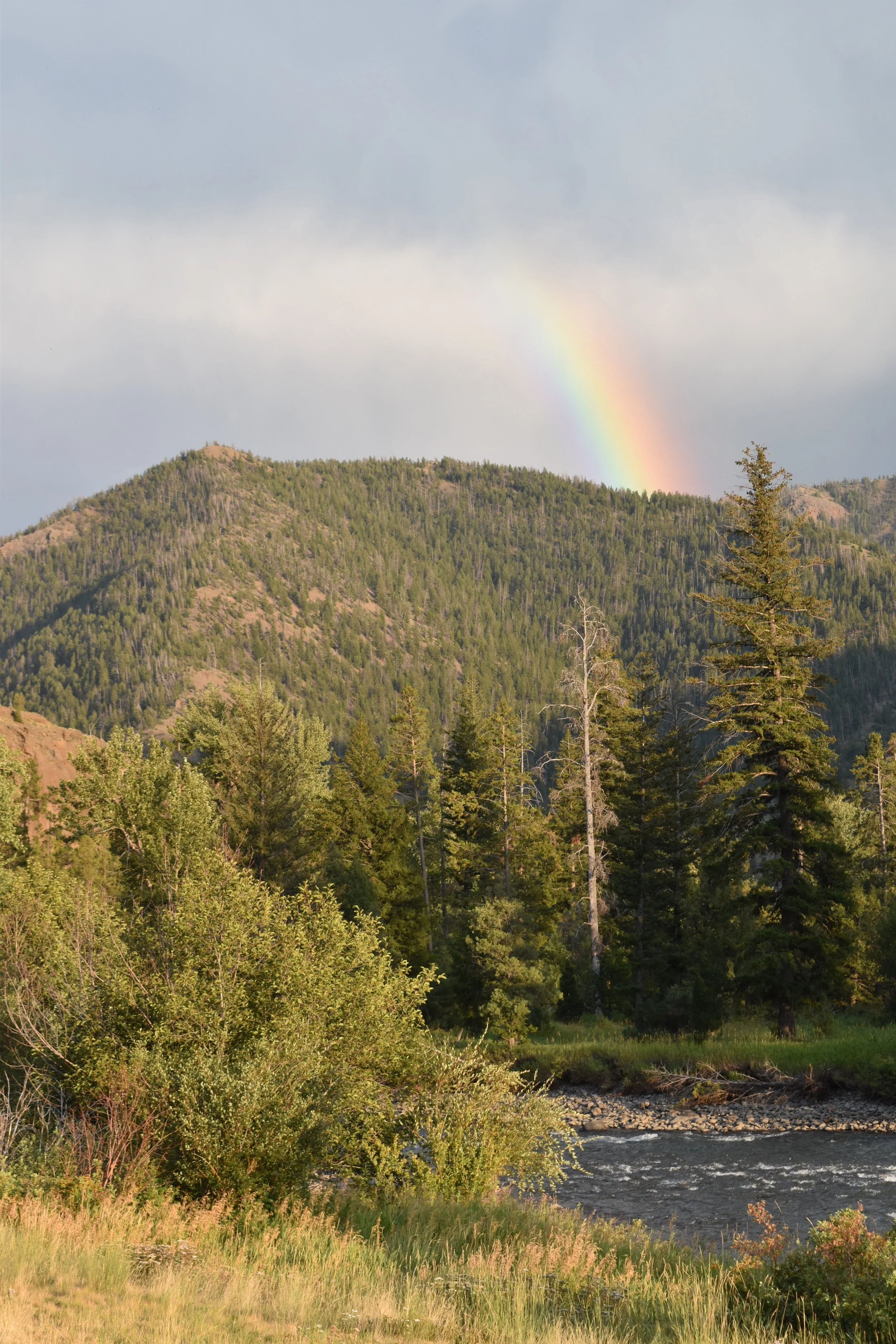 Yellowstone-2.jpg