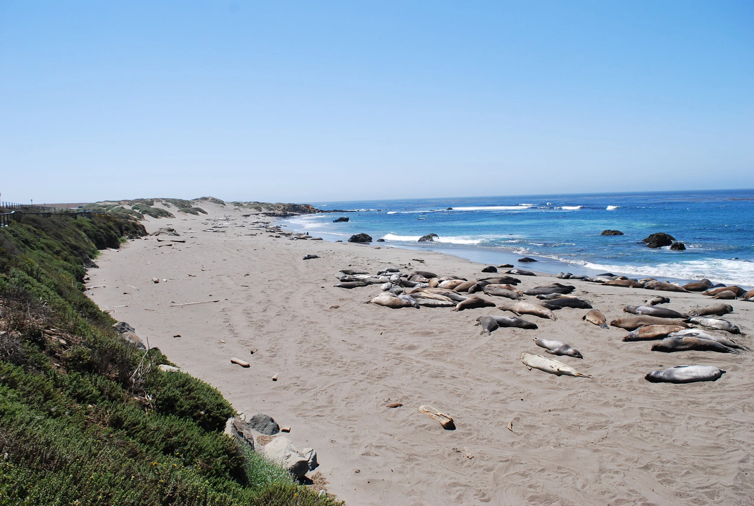 DSC_0567.JPG
