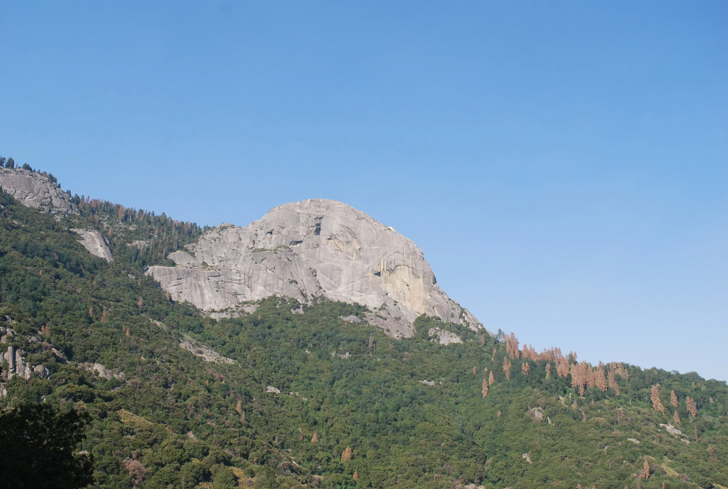 DSC_0152.JPG