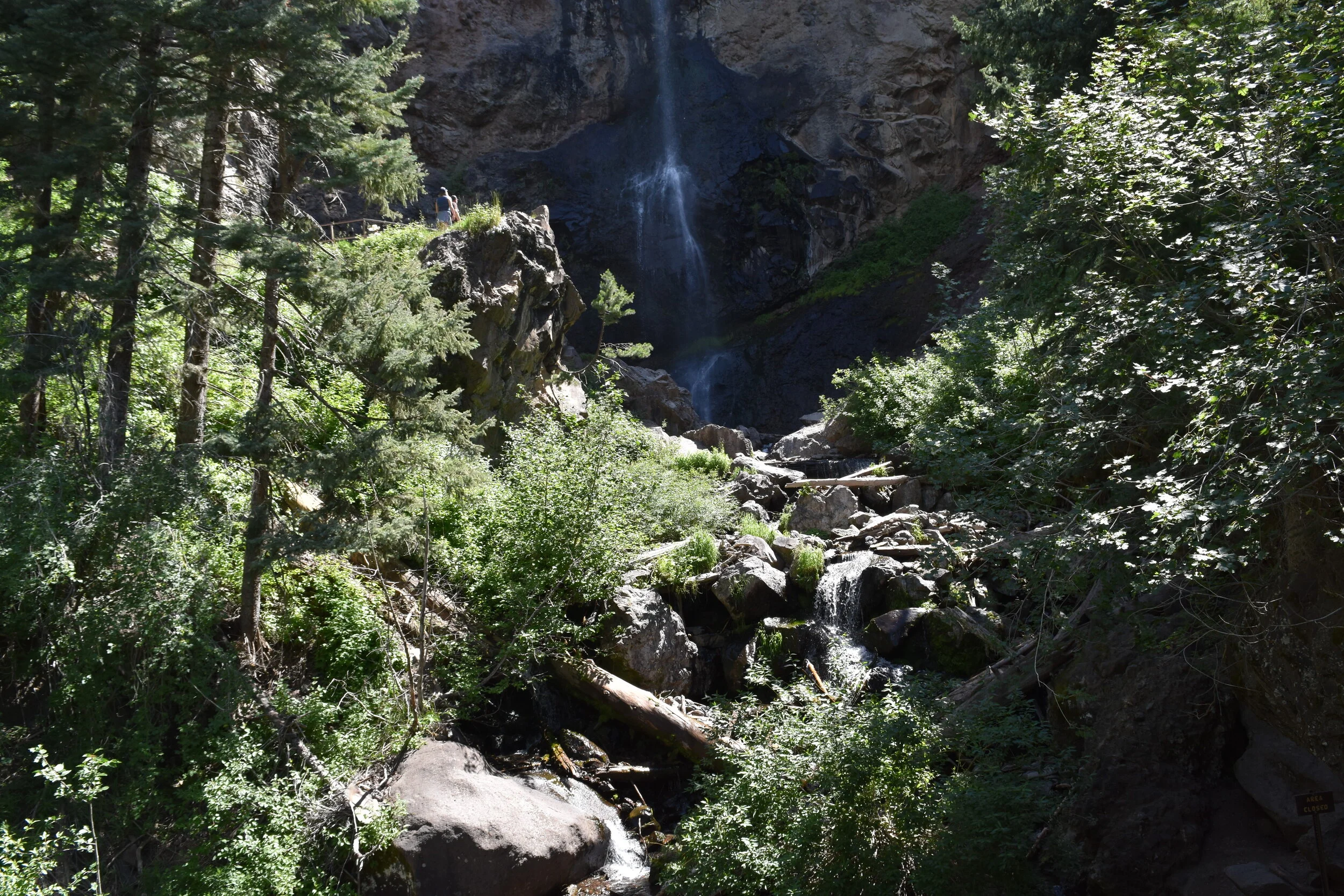 DSC_0302.JPG