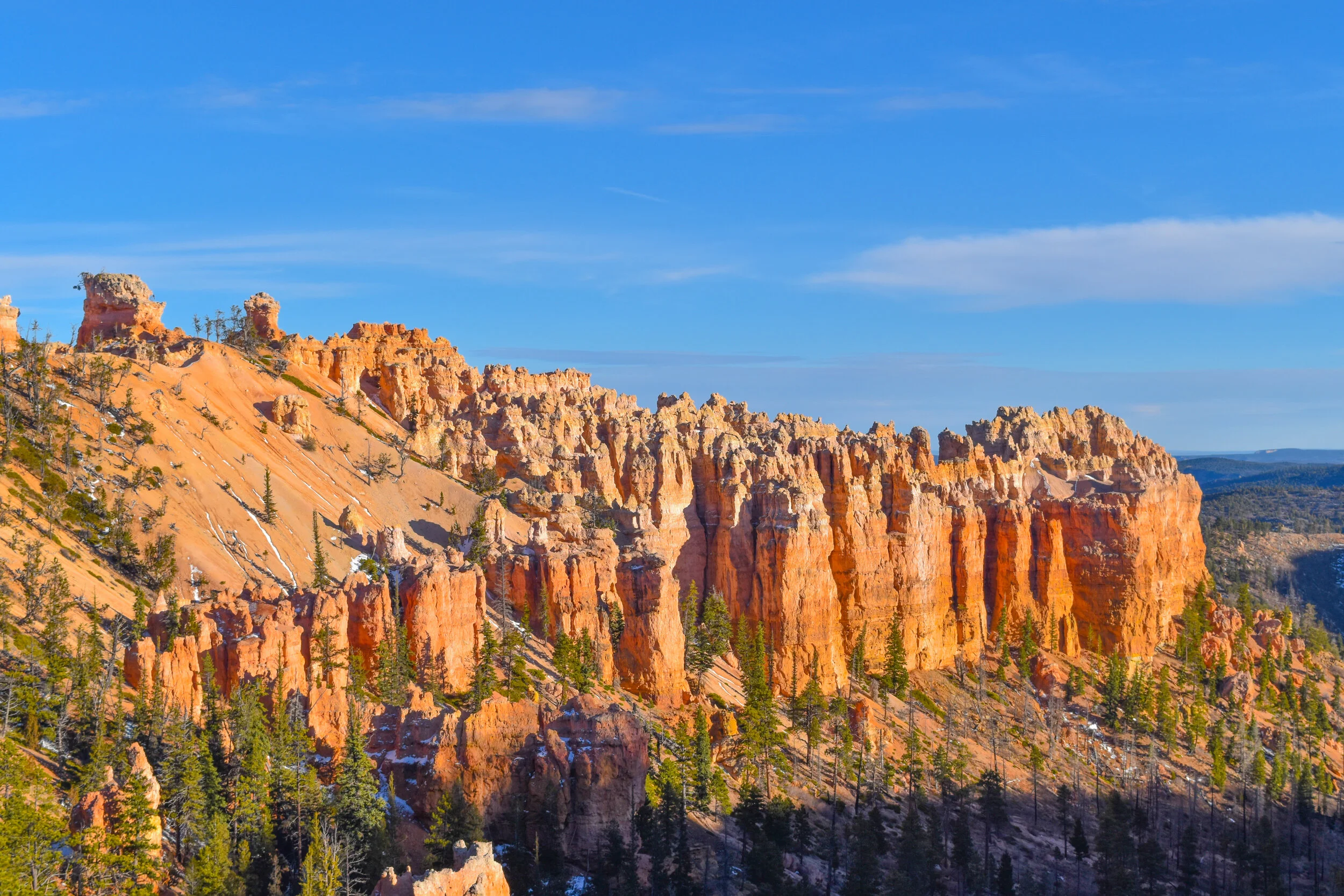 bfk.jpg