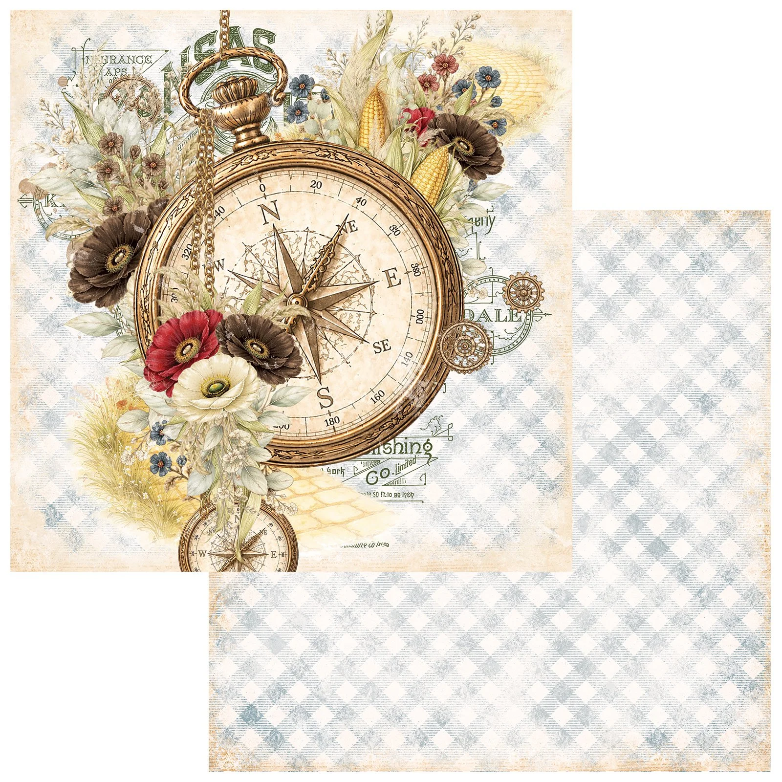 JCO-38309-Chronicle-Of-Oz-Gently-Guided-1.jpg