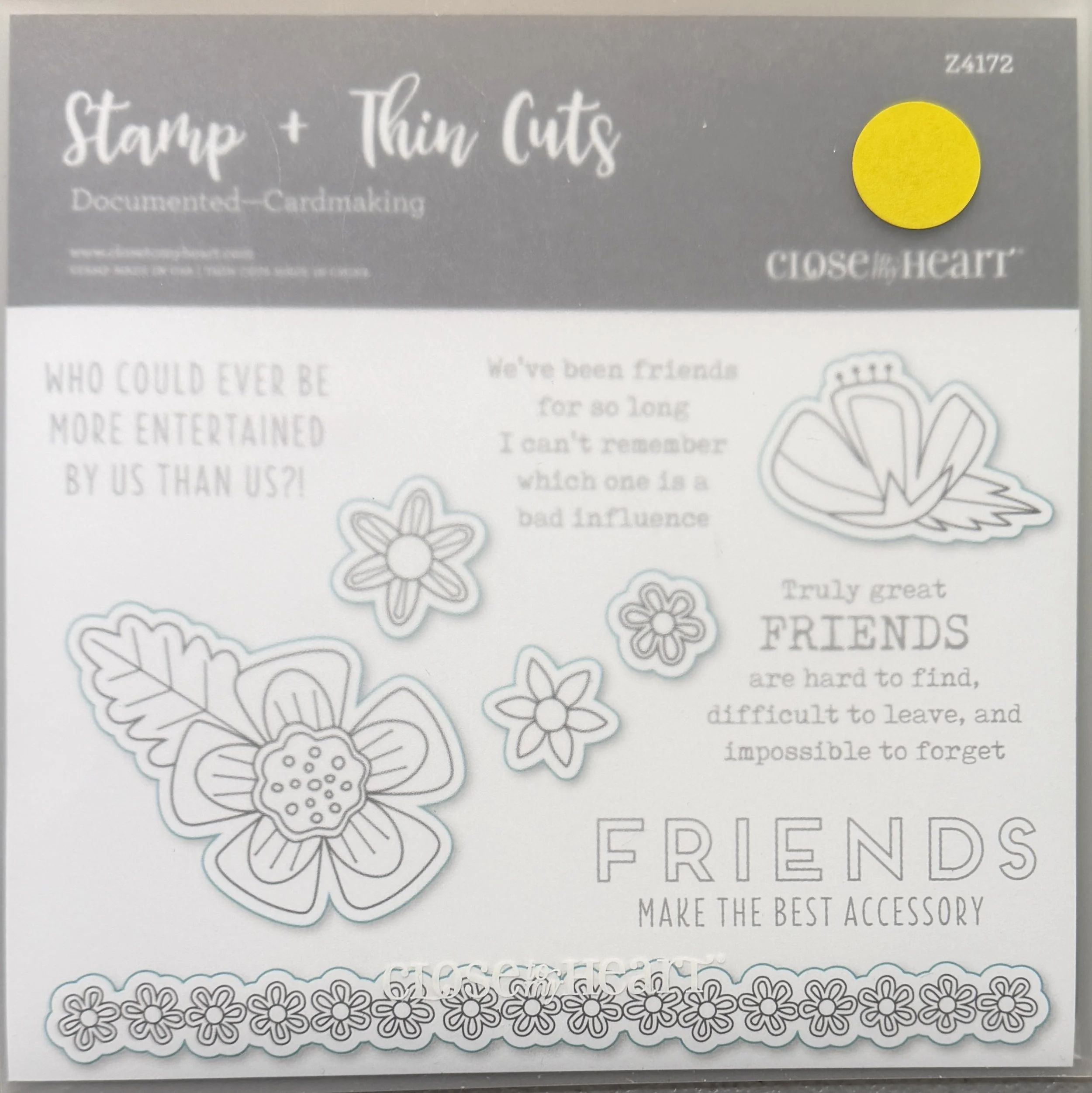 DOCUMENTED (Cardmaking) - Z4172