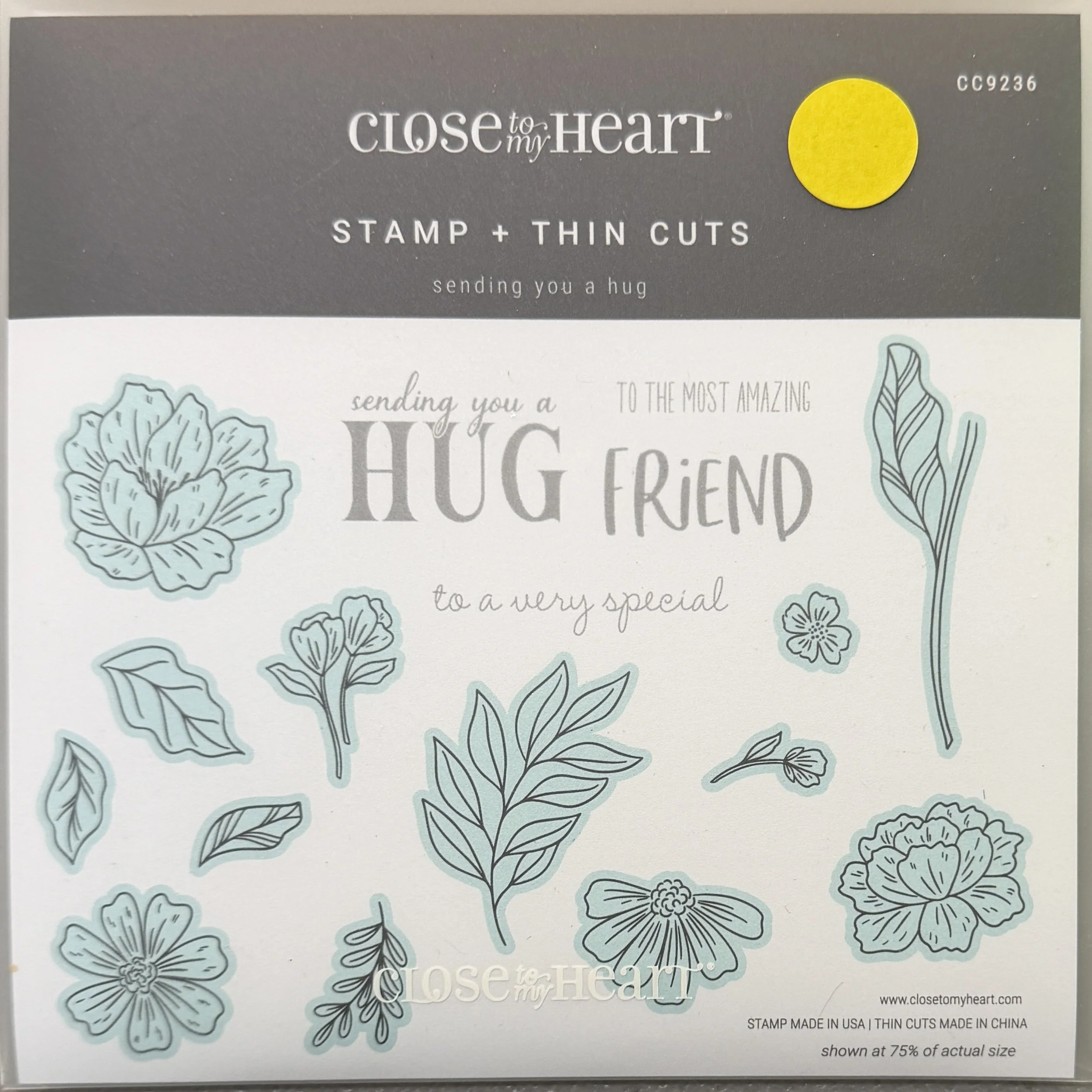 SENDING YOU A HUG - CC9236