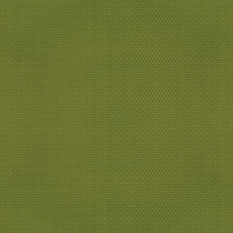 avocado2.jpg