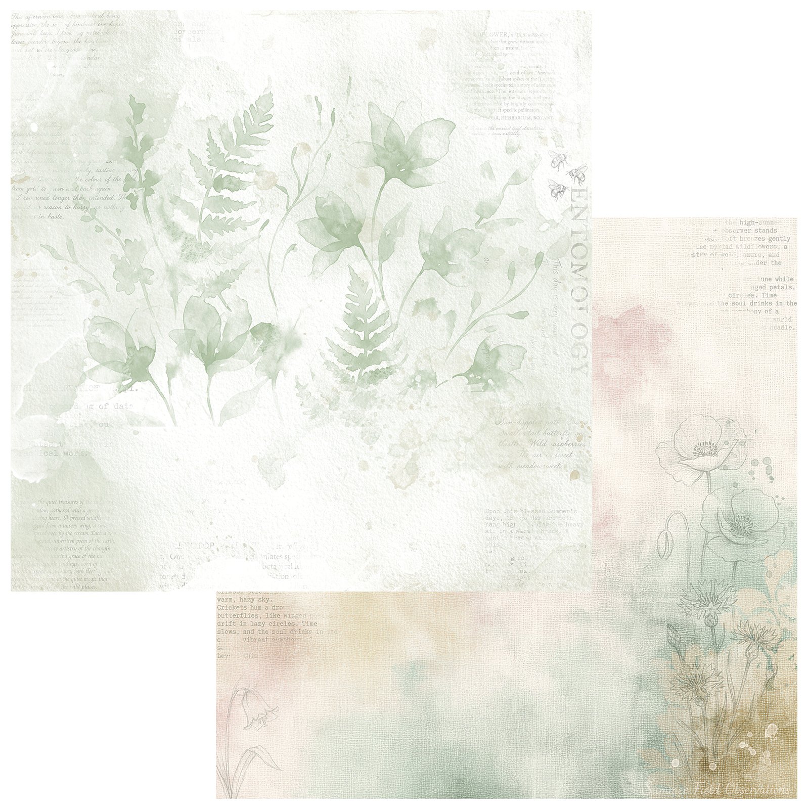TQO-37074-Pressed-Reminiscence-1.jpg