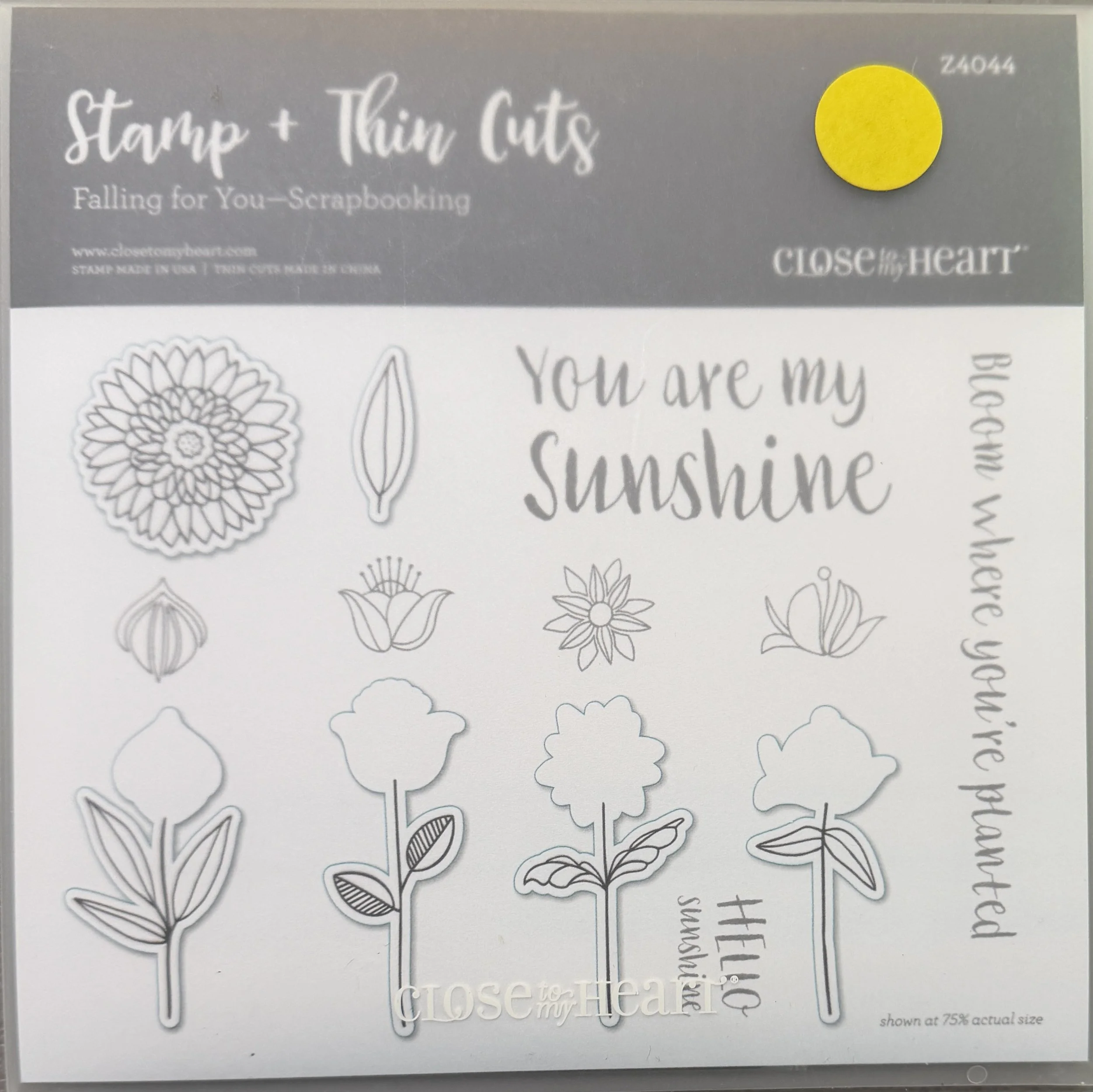 FALLING FOR YOU (Scrapbooking) - Z4044