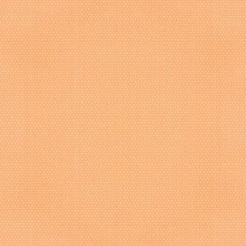 apricot2.jpg