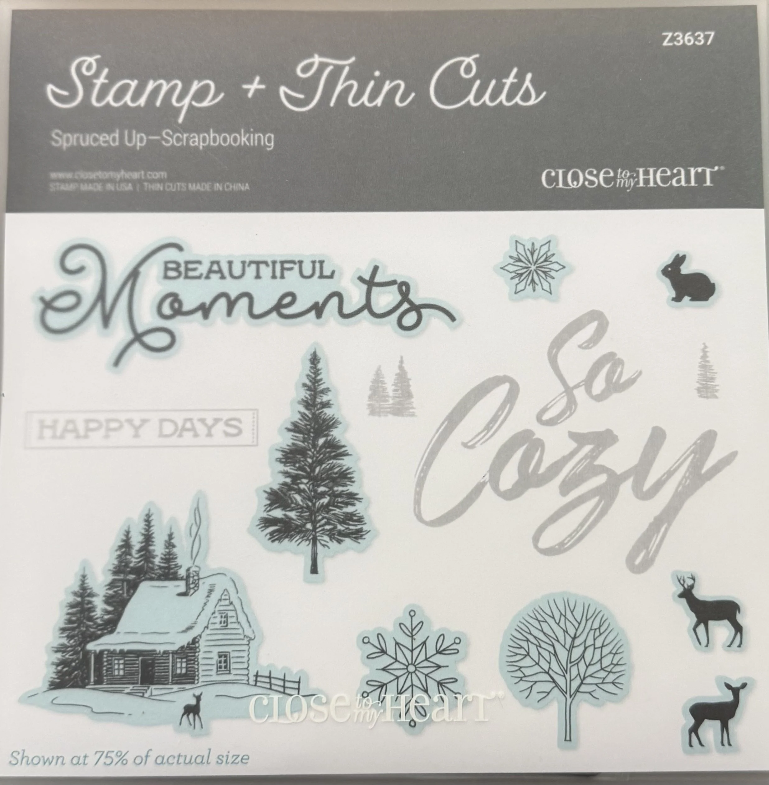 SPRUCED UP (Scrapbooking) - Z3637