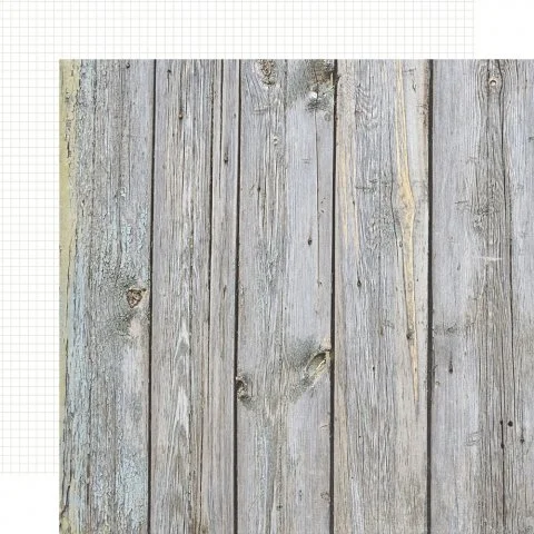 birch.jpg