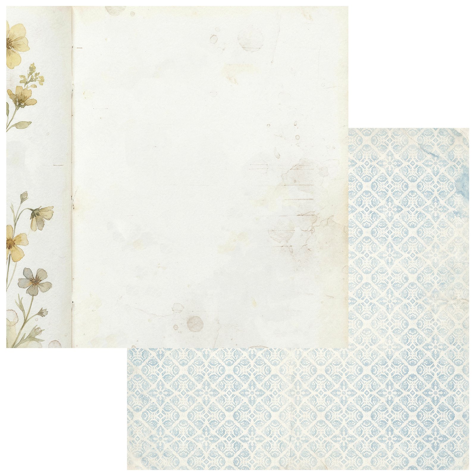 TQO-37081-Vellum-Whispers-1.jpg