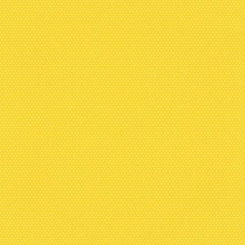 sunshine2.jpg