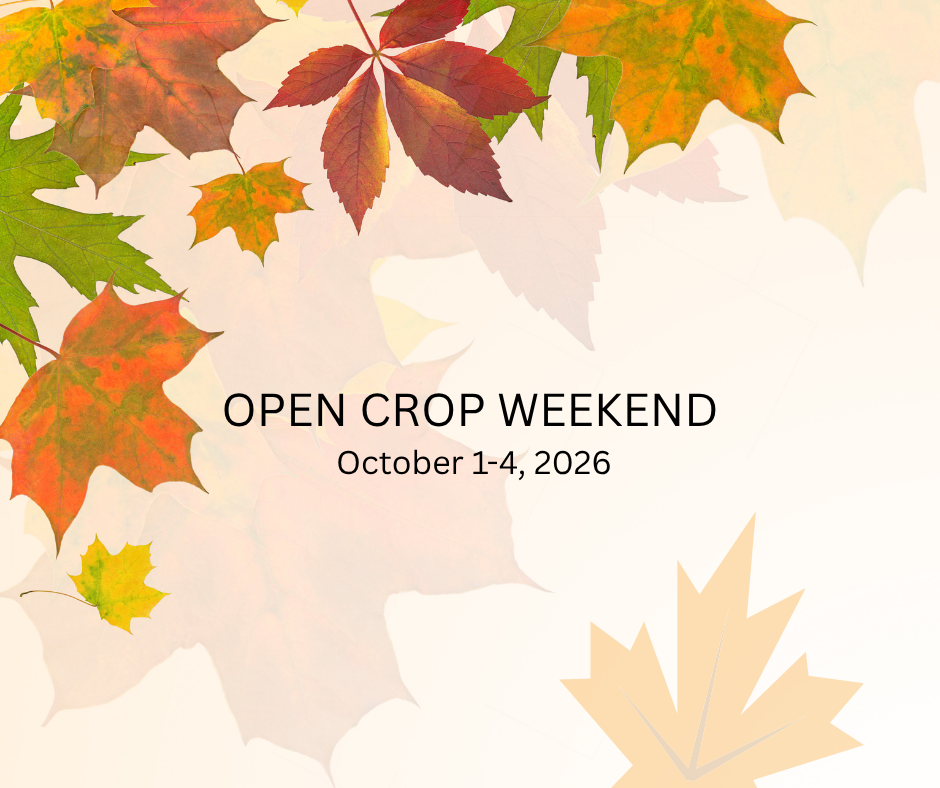 OPEN CROP - Friday, Oct. 2, 2026