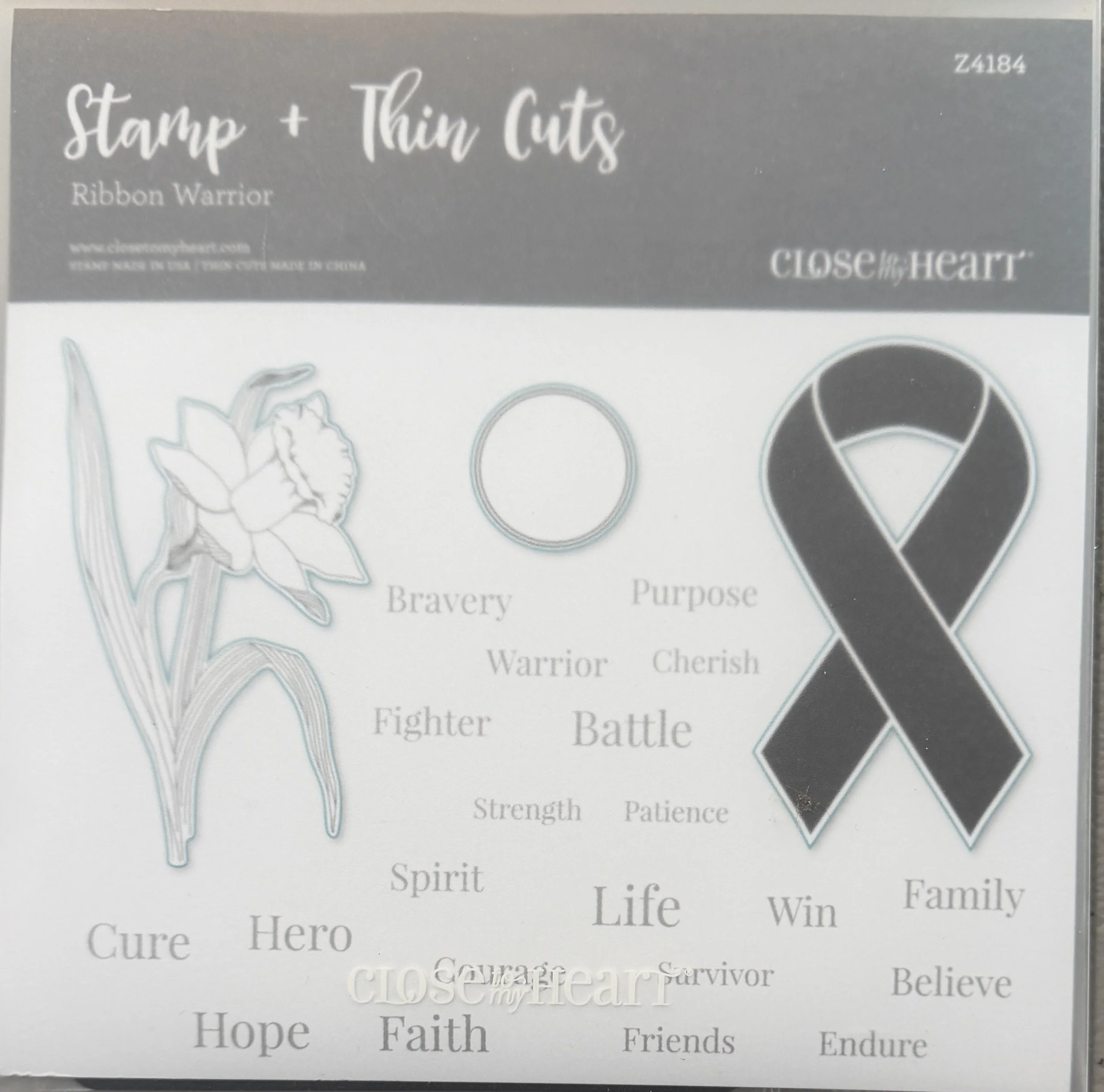 RIBBON WARRIOR - Z4184