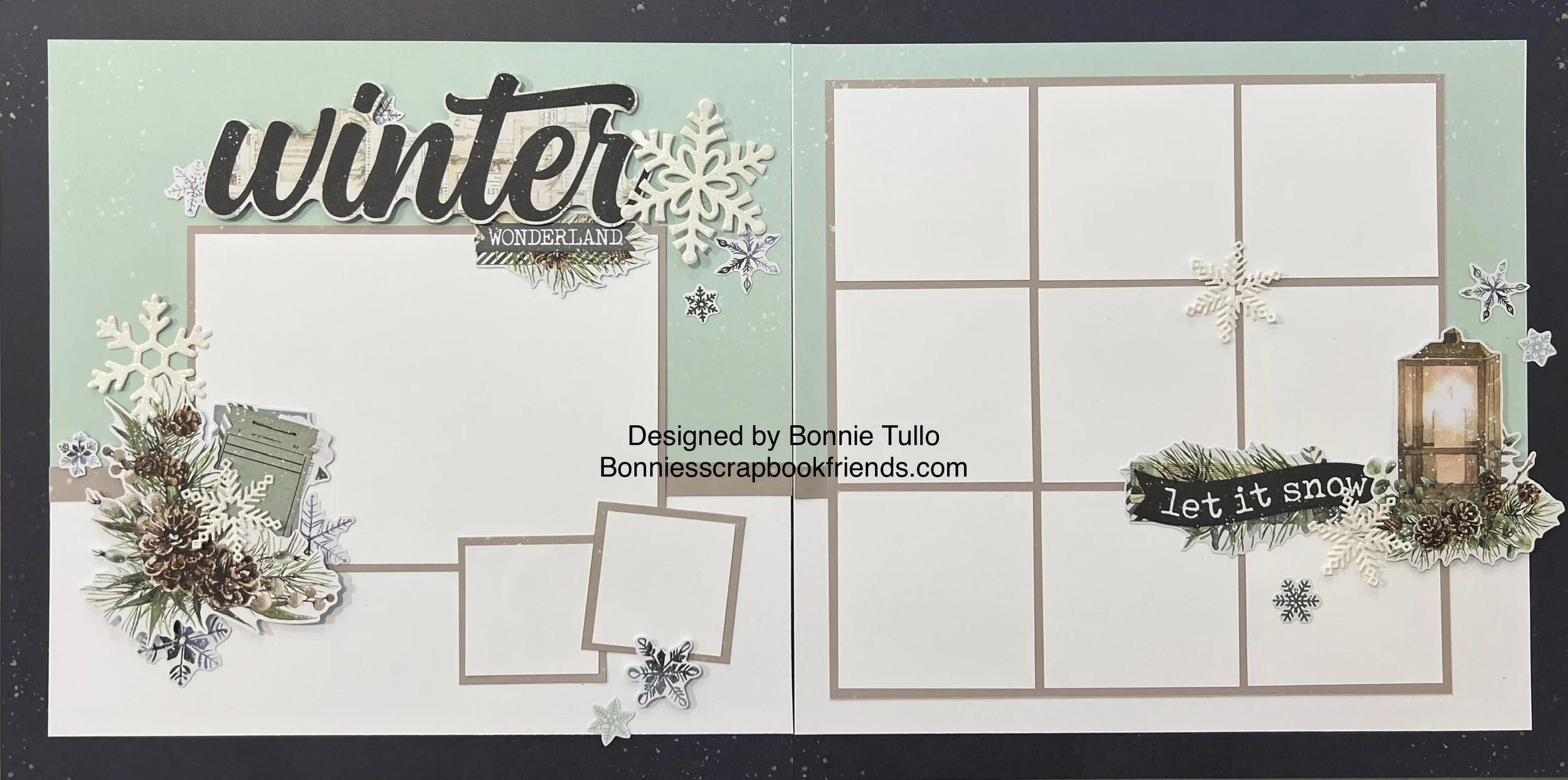 winter wonderland.jpg