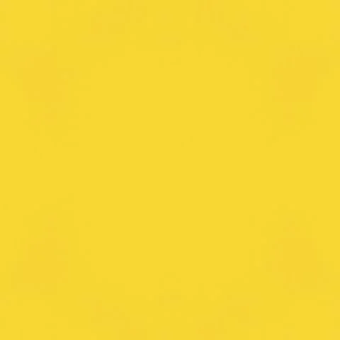 sunshine1.jpg