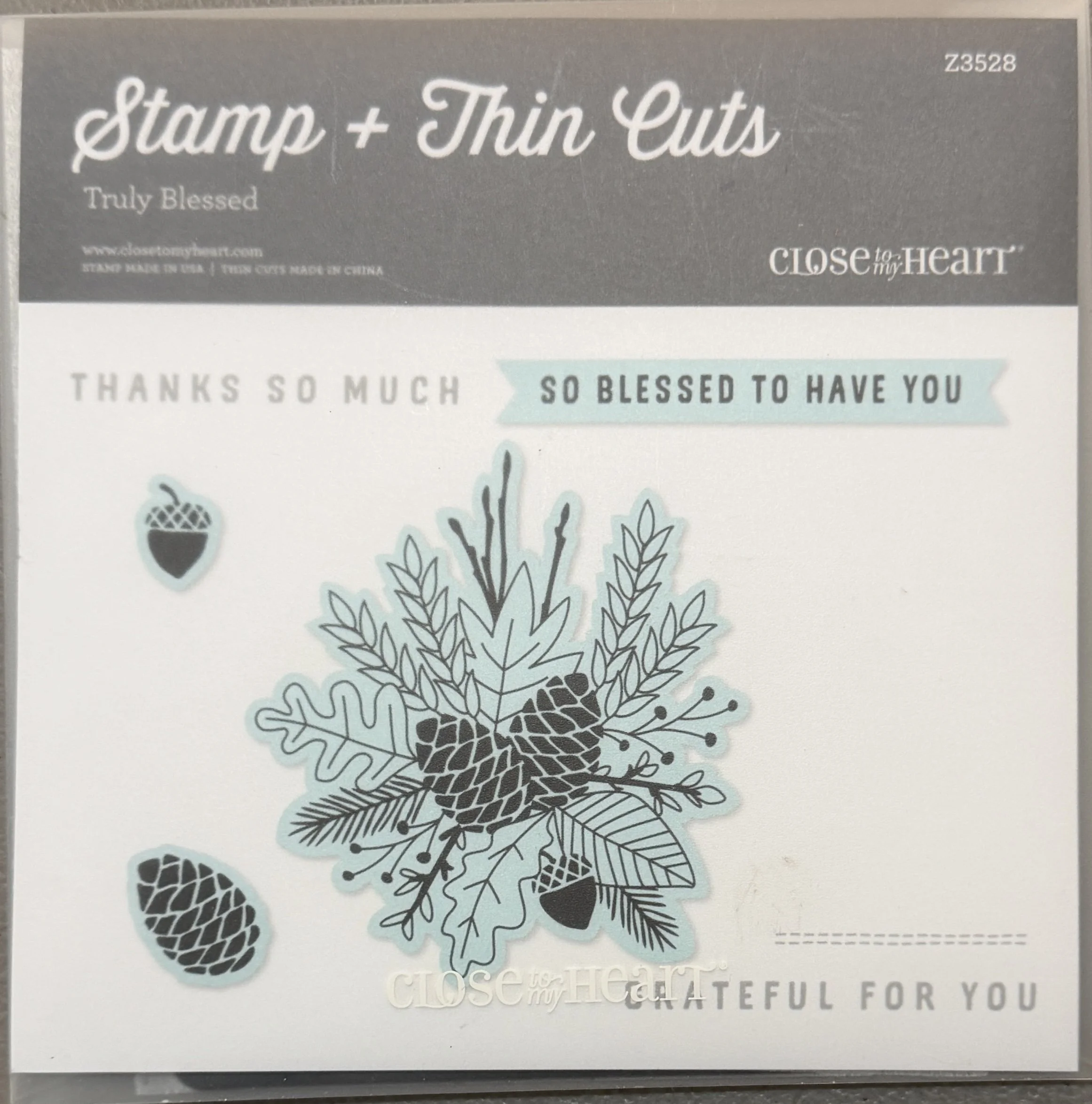 TRULY BLESSED - Z3528