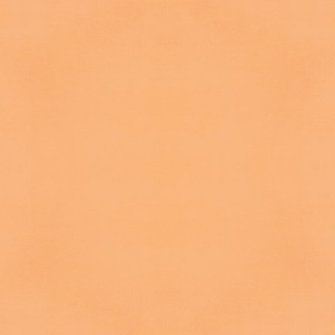 apricot1.jpg