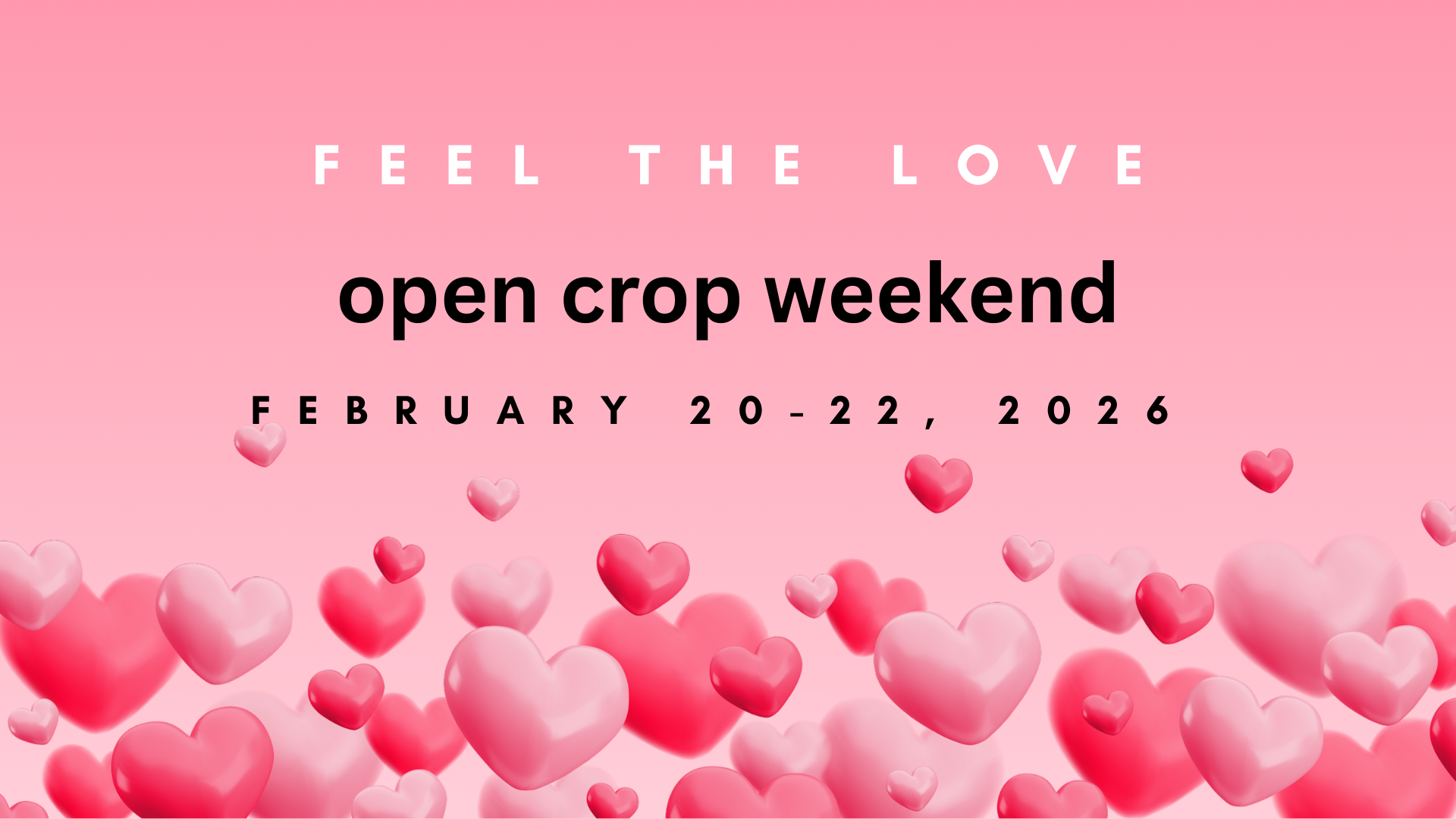 FEEL THE LOVE OPEN CROP - SUNDAY Feb. 22, 2026