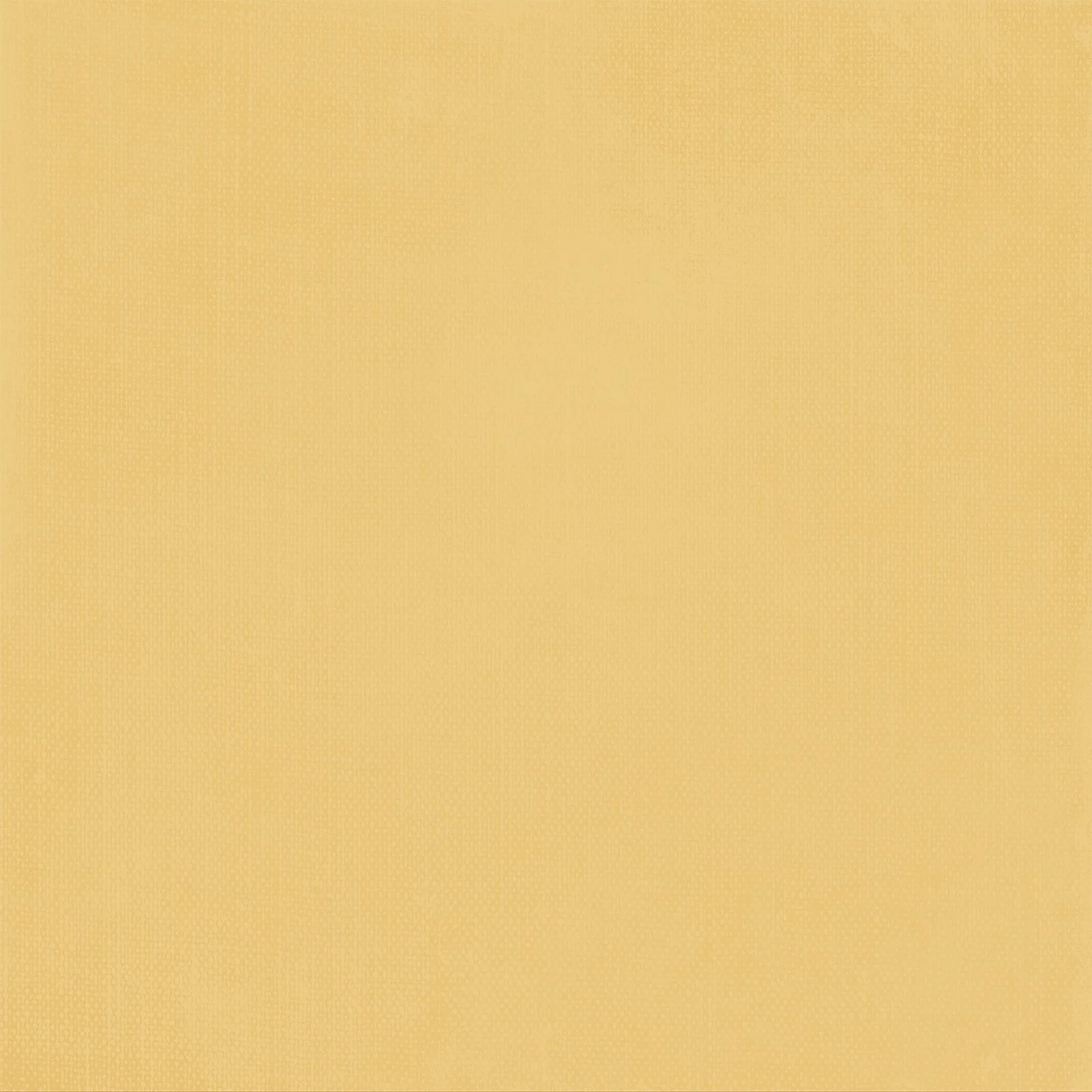 DSB-38620-Solids-2-3.jpg
