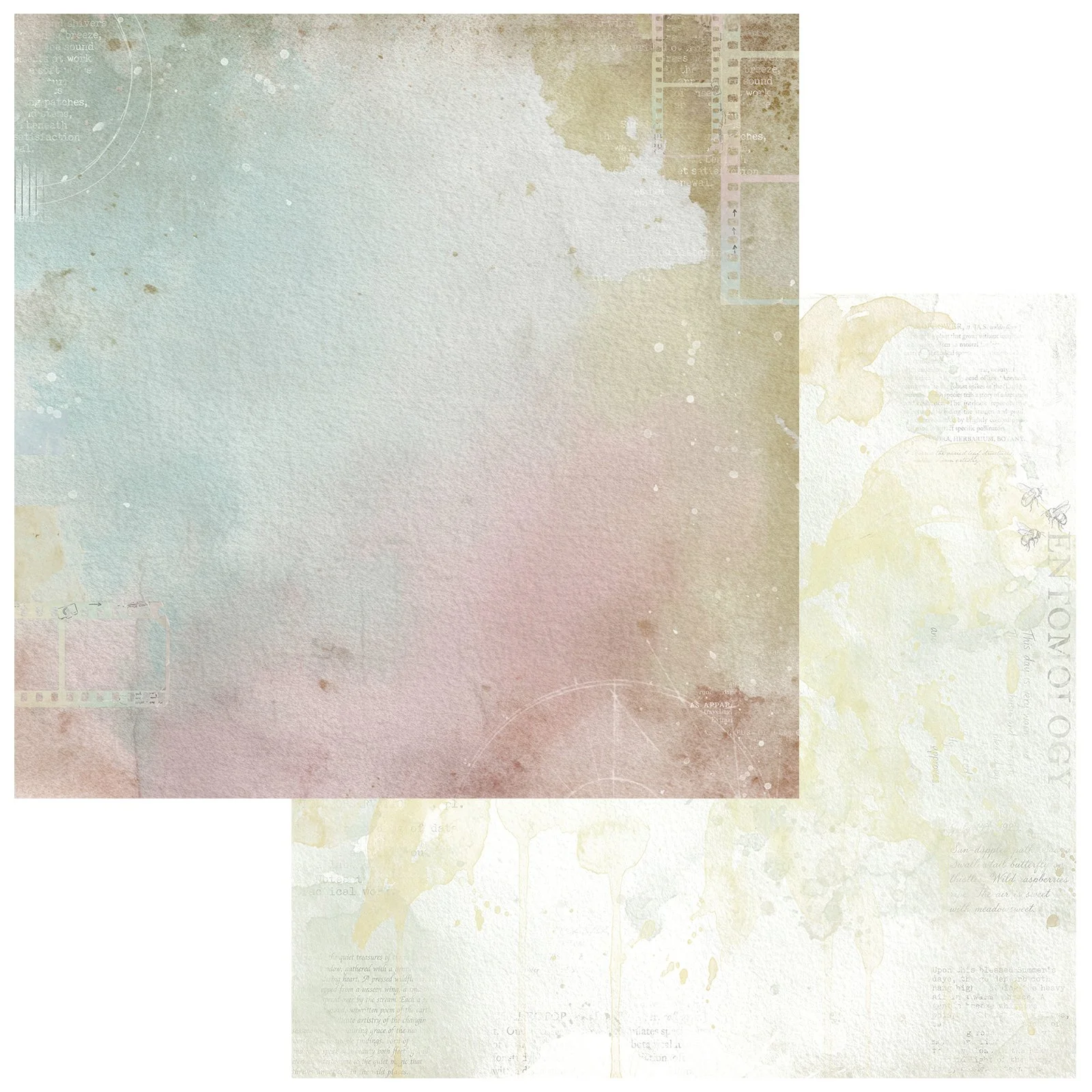 TQO-37067-Spliced-1.jpg