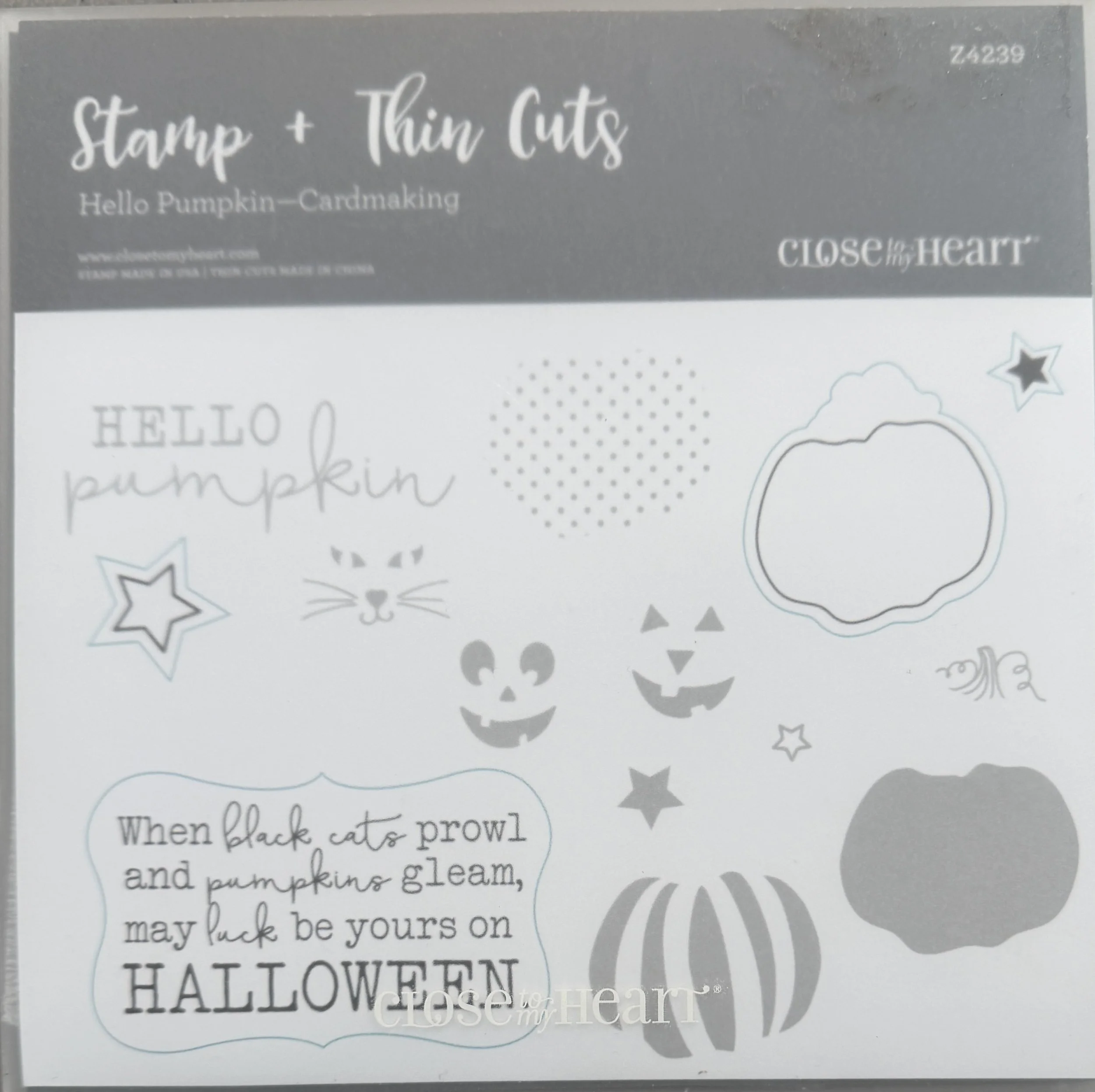 HELLO PUMPKIN (Cardmaking) - Z4239