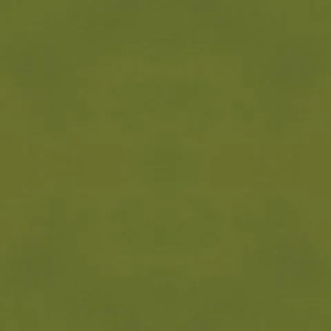avocado1.jpg