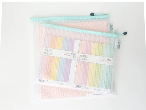 CRAFT STORAGE POUCH - MEDIUM by Simple Stories