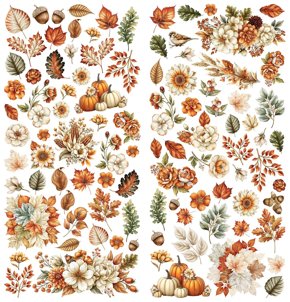 DSB-38682-Season's-Bounty-Laser-Wildflowers-3.jpg