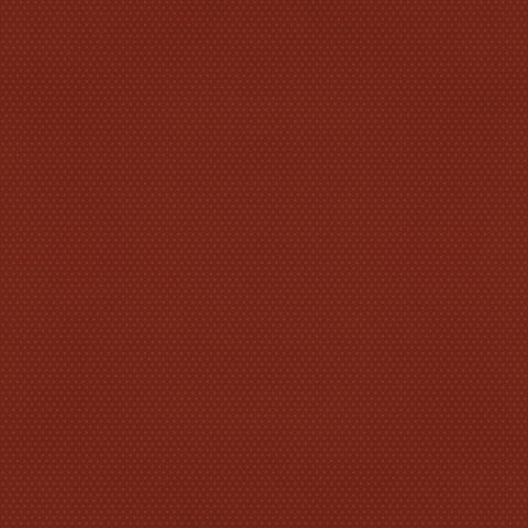 cinnamon2.jpg