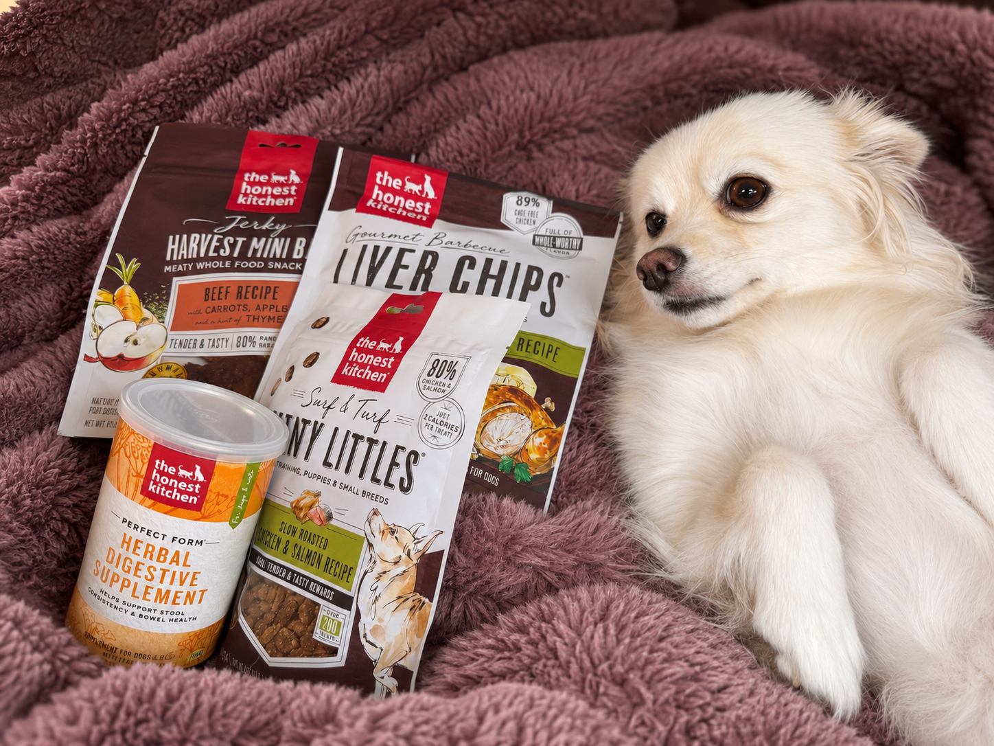 A small cream-colored dog lying on a pink fuzzy blanket beside several bags of pet treat products labeled 'the honest kitchen' and a container of herbal digestive supplement.