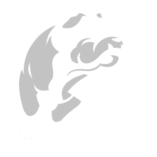 Drake University