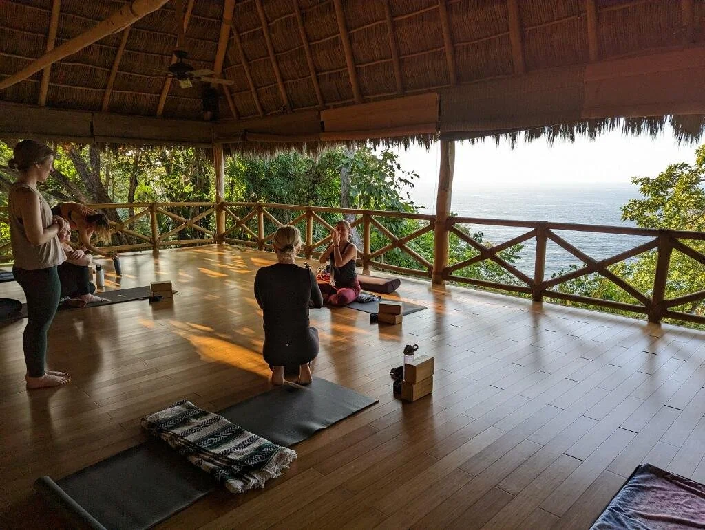 xinalani 2023 jungle studio.JPG