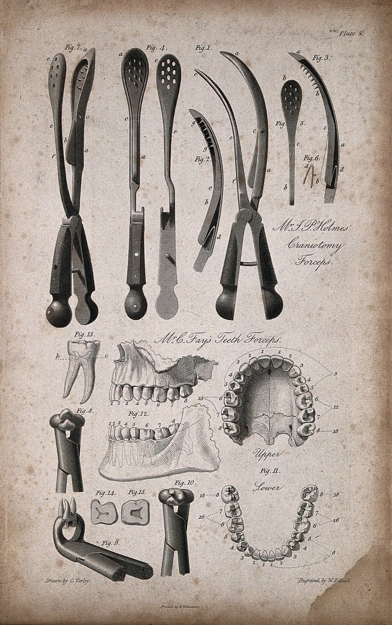 Midwifery and other instruments, including forceps and pliers.jpg