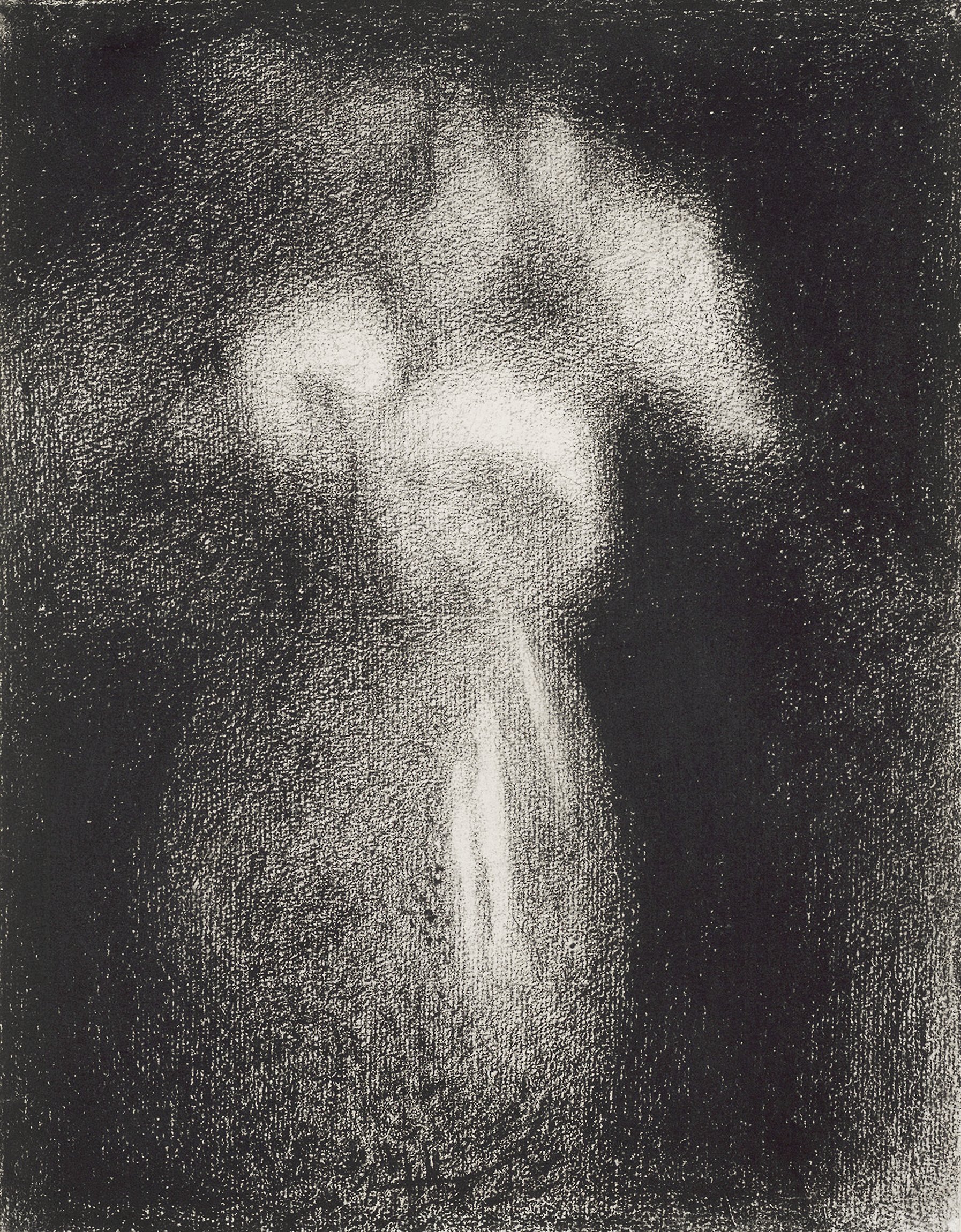 Roses in a Vase