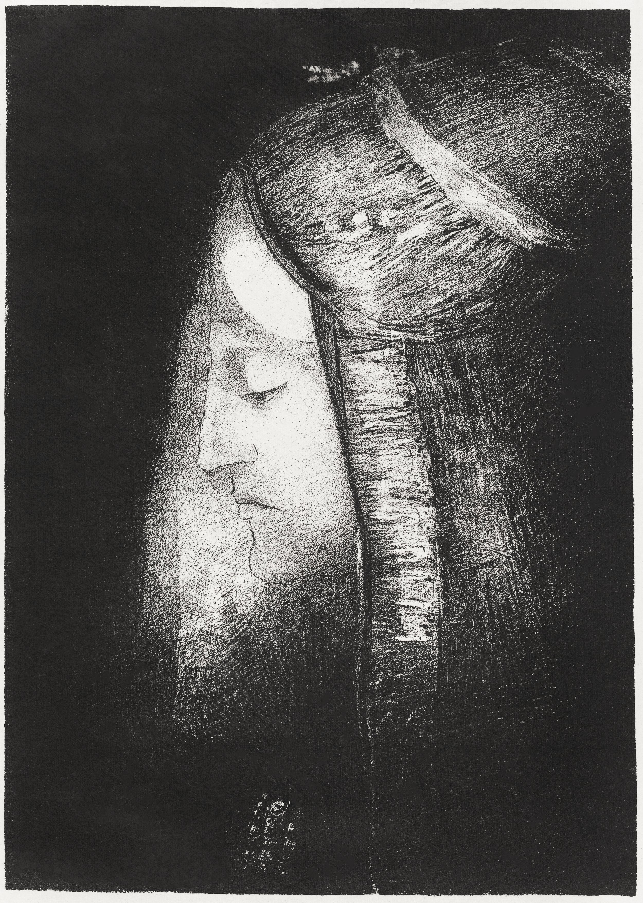 Profile of Light