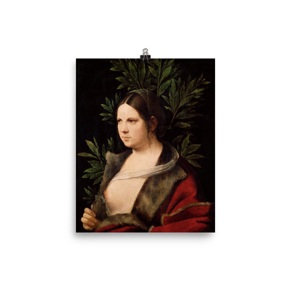 enhanced-matte-paper-poster-(in)-8x10-transparent-636bedbf5f56f.jpg