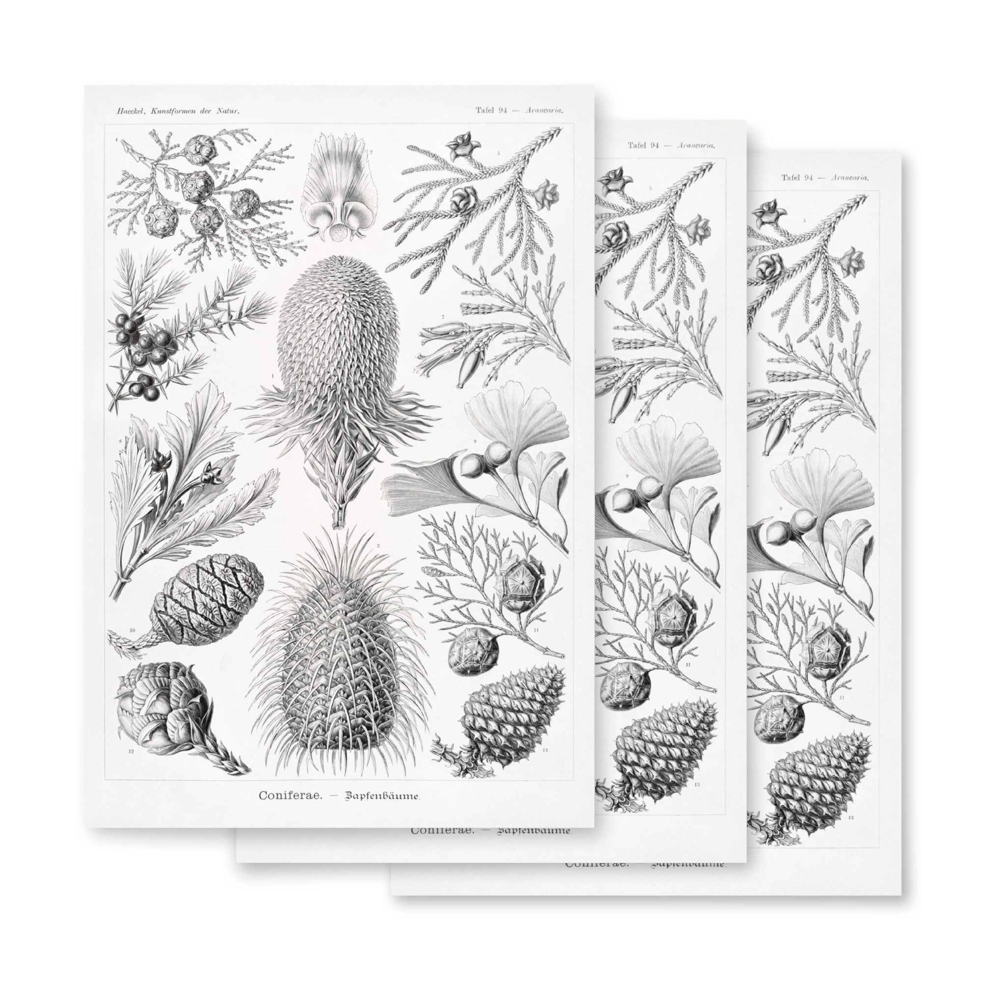 wrapping-paper-sheets-(3)-white-matte-28.75x19.75-front-3-66f3929e8ca64.jpg