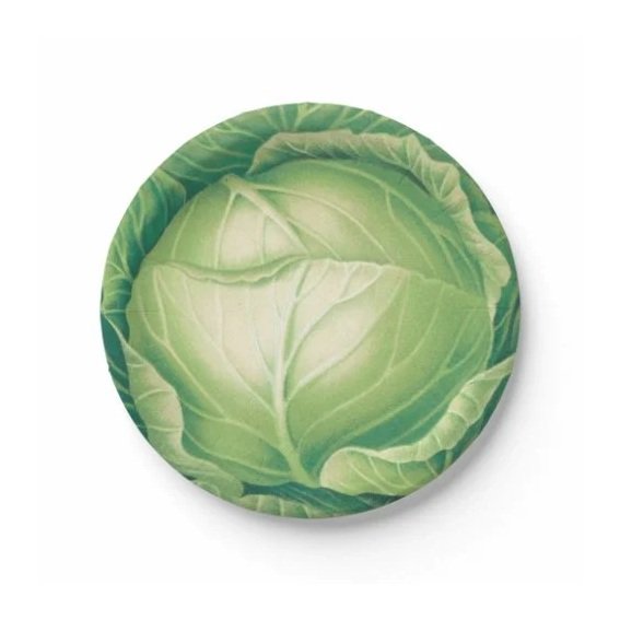 cabbageware_paper_plates-r473400cb15ac4f63a8ddf6e111a72a20_z6cf8_1024.jpg