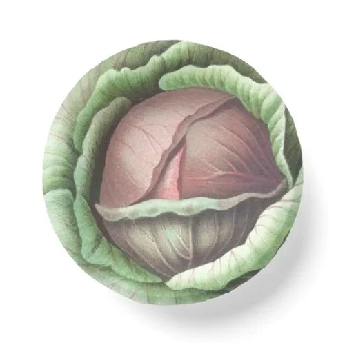 cabbageware_paper_bowl-r3ad18912b0694ac0acfb4e17f31e6fa1_cmzd8_1024.jpg
